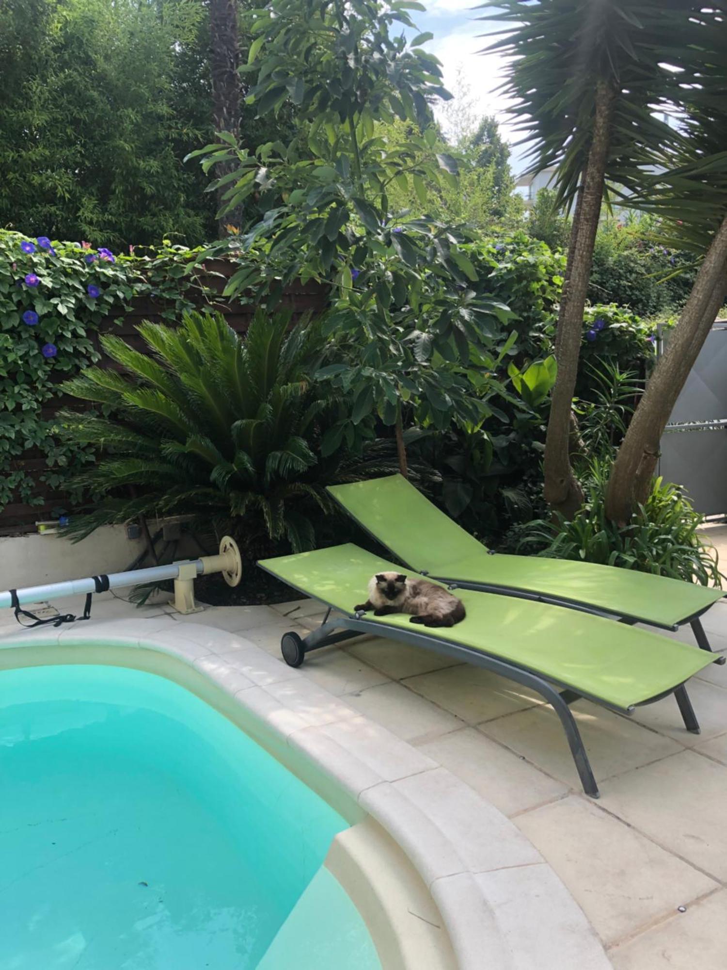 Villa Beausejour Cannes Extérieur photo